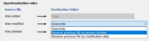 Support for file versioning during synchronization